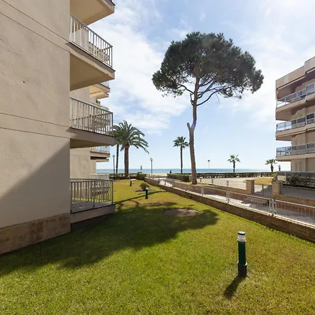 Dms 5 Planta Baja Arysal 5 *